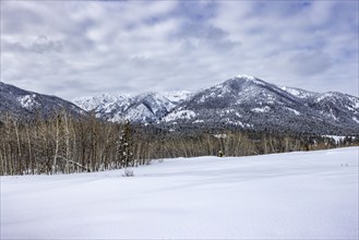 Tranquil winter landscape with snow covered field and hills, Sun Valley, Idaho, USA