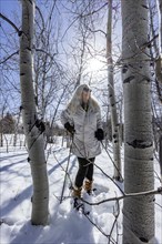 Smiling woman snowshoeing through aspen forest, Sun Valley, Idaho, USA