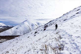 Rear view of woman snowshoeing up snow covered hill, Hailey, Idaho, USA