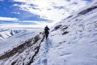 Rear view of woman snowshoeing up snow covered hill, Hailey, Idaho, USA