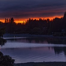 Calm lake and forest at sunrise, Bariloche, , Argentina