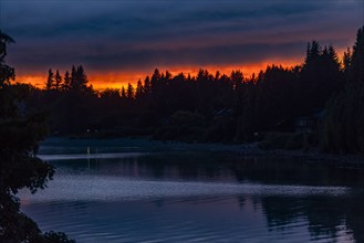 Calm lake and forest at sunrise, Bariloche, , Argentina