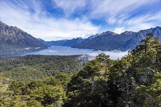 Mountain lakes with green trees in foreground, Bariloche, , Argentina