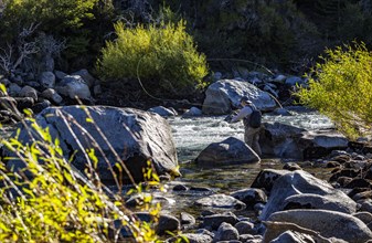 Fly fisherman casting for wild trout on Traful River, Estancia Arroyo Verde, Nequen Province,