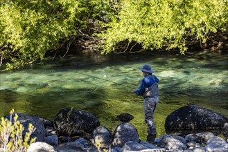 Rear view of man fly fishing for wild trout on Traful River, Estancia Arroyo Verde, Nequen