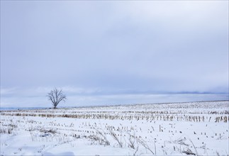 Empty highway 20 crossing snow covered fields in winter, Gooding, Idaho, USA