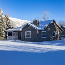 Single bare tree in snow covered field, Bellevue, Idaho, USA