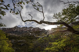 Argentina, Santa Cruz, El Chalten, Sun on ridge of Electrico Valley, El Chalten, Santa Cruz,