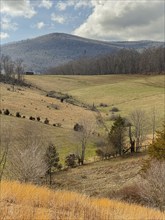 USA, Virginia, Newport, Green hills in springtime, Newport, Virginia, USA