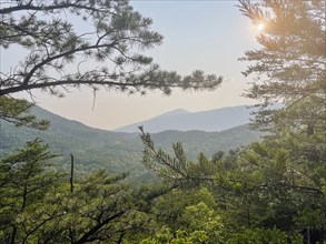 USA, Virginia, Blacksburg, Sun shining through tree branches in hilly landscape, Blacksburg,