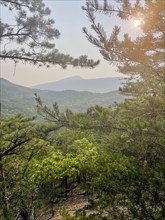 USA, Virginia, Blacksburg, Sun shining through tree branches in hilly landscape, Blacksburg,