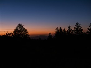 USA, Virginia, Mount Rogers National Recreation Area, Silhouettes of trees against sky at sunrise,