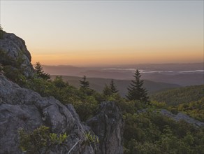 USA, Virginia, Mount Rogers National Recreation Area at sunrise , Mount Rogers National Recreation