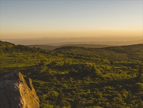 USA, Virginia, Mount Rogers National Recreation Area at sunrise , Mount Rogers National Recreation