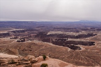 USA, Utah, Rock formations in Canyon Lands National Park, Canyon Lands National Park, Utah, USA