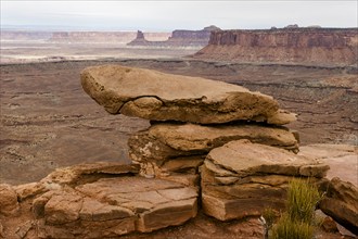 USA, Utah, Rock formations in Canyon Lands National Park, Canyon Lands National Park, Utah, USA