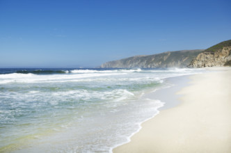 Sea waves on sandy beach
Inverness, California, USA