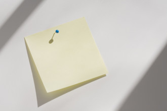 Blank yellow adhesive note pinned to white board
Chatham, New Jersey, USA