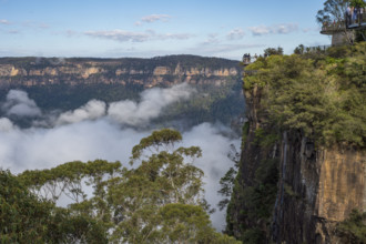 Low clouds and forested rocky mountains
Katoomba, New South Wales, Australia