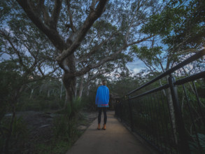 Rear view of woman standing on footpath and looking at trees
Katoomba, New South Wales, Australia