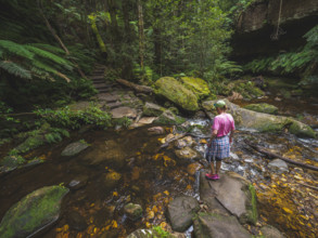 Rear view of woman standing on rock by stream in forest
Blackheath, New South Wales, Australia