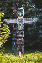 Totem poles at Stanley Park 
Vancouver, British Columbia, Canada