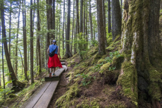 Rear view of woman walking on boardwalk in forest
Wrangall, Alaska, USA