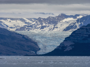 Glacier and ice floes on Icy Bay
Icy Bay, Alaska, USA