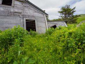 Abandoned wooden house in field
Unga Village, Alaska, USA