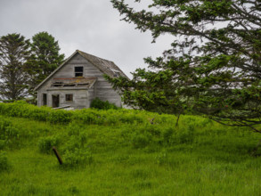 Abandoned wooden house in field
Unga Village, Alaska, USA