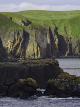 Colony of sea birds nesting on cliff
Unga Village, Alaska, USA