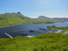 High angle view of boats moored at Dutch Harbor
Unalaska, Dutch Harbour, Alaska, USA