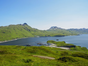 High angle view of boats moored at Dutch Harbor
Unalaska, Dutch Harbour, Alaska, USA