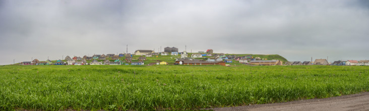 Panoramic view of village with grassy field in foreground
St Paul, Alaska, USA