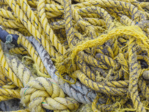 Close-up of old tangled fishing ropes
St Matthew Island, Alaska, USA