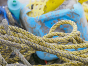 Close-up of old tangled fishing ropes
St Matthew Island, Alaska, USA