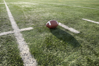 American football ball in field
New York City, NY USA