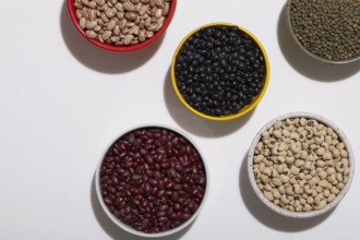 Overhead view of bowls of various beans on white background
New York City, NY USA