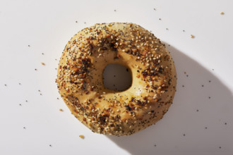 Overhead view of seeded bagel on white background
New York City, NY USA