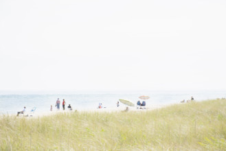 People relaxing on Siasconset Beach
Nantucket, Massachusetts, USA