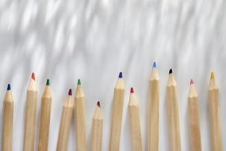 Colorful pencils on white background
New York City, New York State, USA