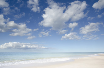 White puffy clouds above ocean and empty sandy beach
Nantucket, Massachusetts USA