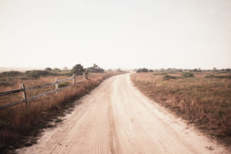 Dirt road crossing grassy fields leading to Cisco Beach
Nantucket, Massachusetts, USA