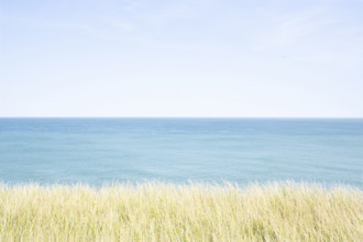 Marram grass and calm Atlantic Ocean
Nantucket, Massachusetts, USA