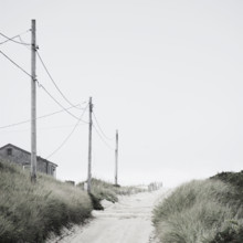 Electricity poles along beach road
Nantucket, Massachusetts, USA