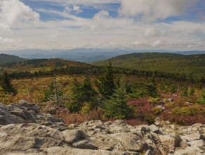 Trees and rocks in mountain landscape
Mount Rogers National Recreation Area, Virginia, USA