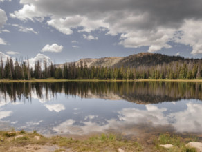 Clouds, trees and hills reflected in Mirror Lake
Unita-Wasatch-Cache National Forest, Utah, USA