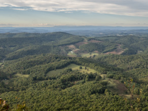 High angle view of green hills and forests
Floyd, Virginia, USA