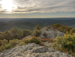 Rocks and bushes in landscape at sunset
Floyd, Virginia, USA