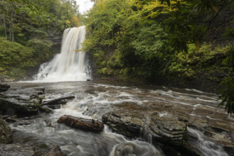 Waterfall and shallow rocky stream
Pembroke, Virginia, USA